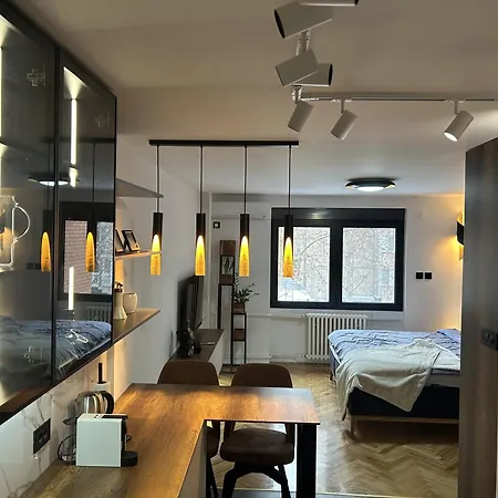 Cozy - Free Parking, Wifi & King-size Bed - Liman Iv Apartment Novi Sad