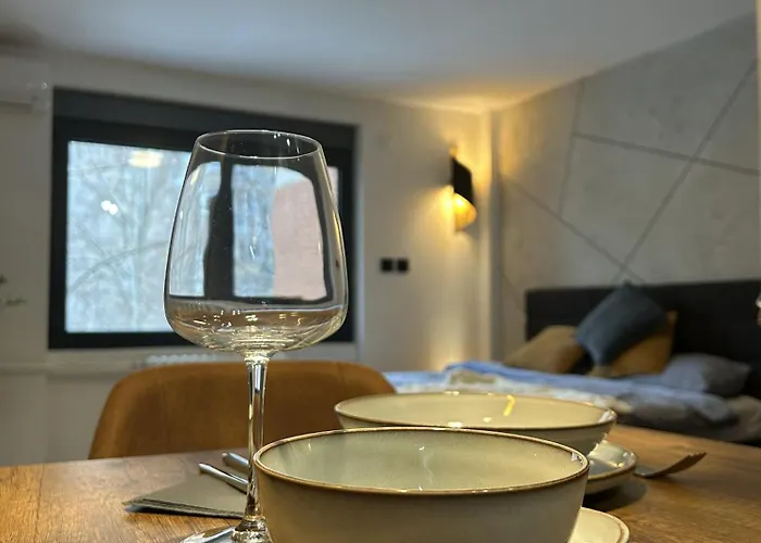 Cozy - Free Parking, Wifi & King-size Bed - Liman Iv شقة نوفي ساد