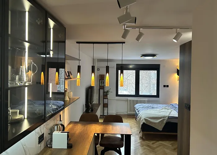 Cozy - Free Parking, Wifi & King-size Bed - Liman Iv Lägenhet Novi Sad